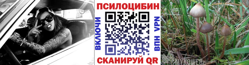 MEGA как зайти  где можно купить наркотик  Кировск  Псилоцибиновые грибы MAGIC MUSHROOMS 